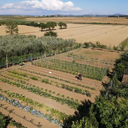 Farm stay Le Mandriane Albinia