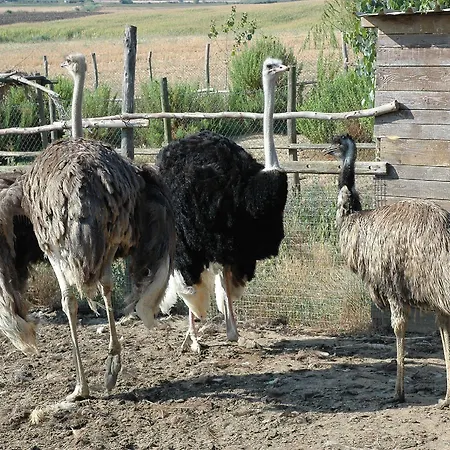 Le Mandriane